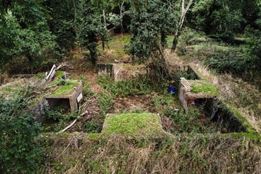 Modern squared-off earthworks are visible among undergrowth and plant life. Woodland in the background surrounds the structure.
